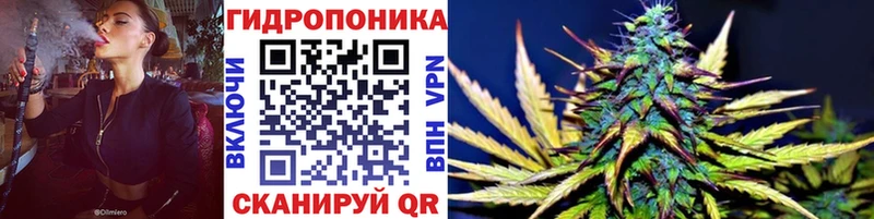 Бошки Шишки Bruce Banner  Неман 